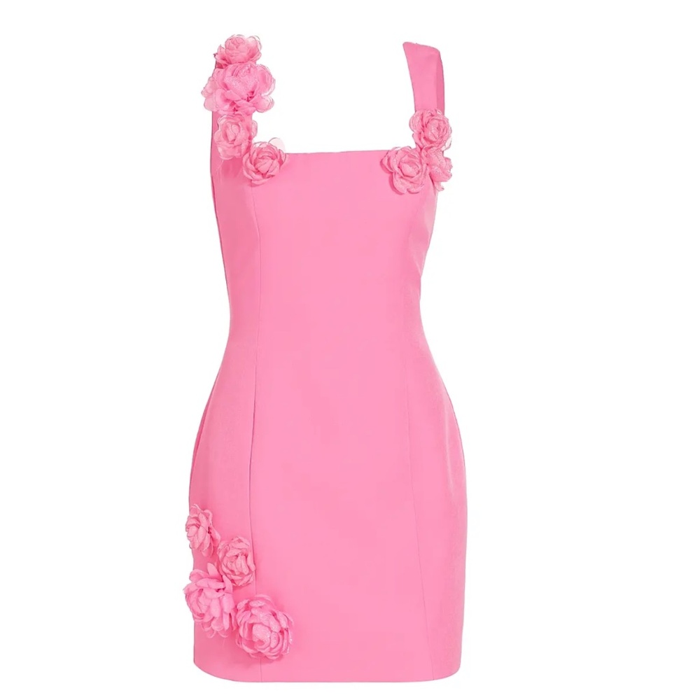 NWT Elliott Trompe Minidress